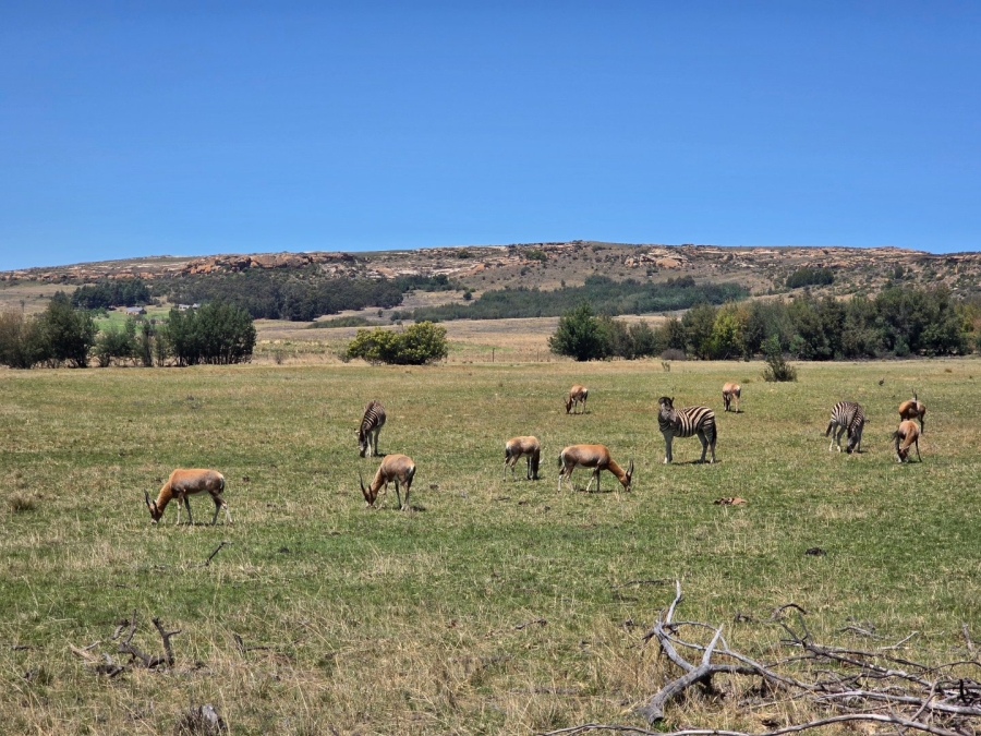 Commercial Property for Sale in Bethlehem Free State